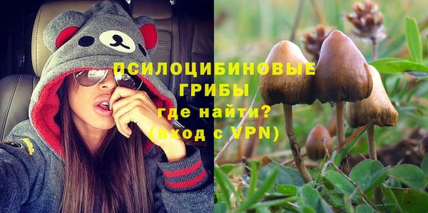твердый Каменск-Шахтинский