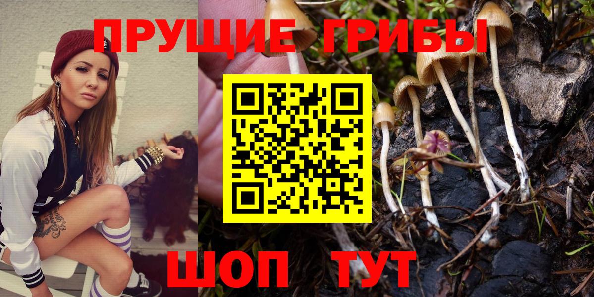 Псилоцибиновые грибы GOLDEN TEACHER Кимовск