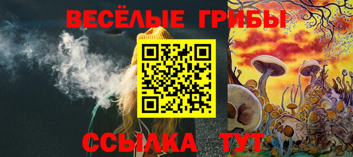 Кимовск  купить закладку  Вход с VPN  Псилоцибиновые грибы MAGIC MUSHROOMS  Галлюциногенные грибы Psilocybine cubensis 