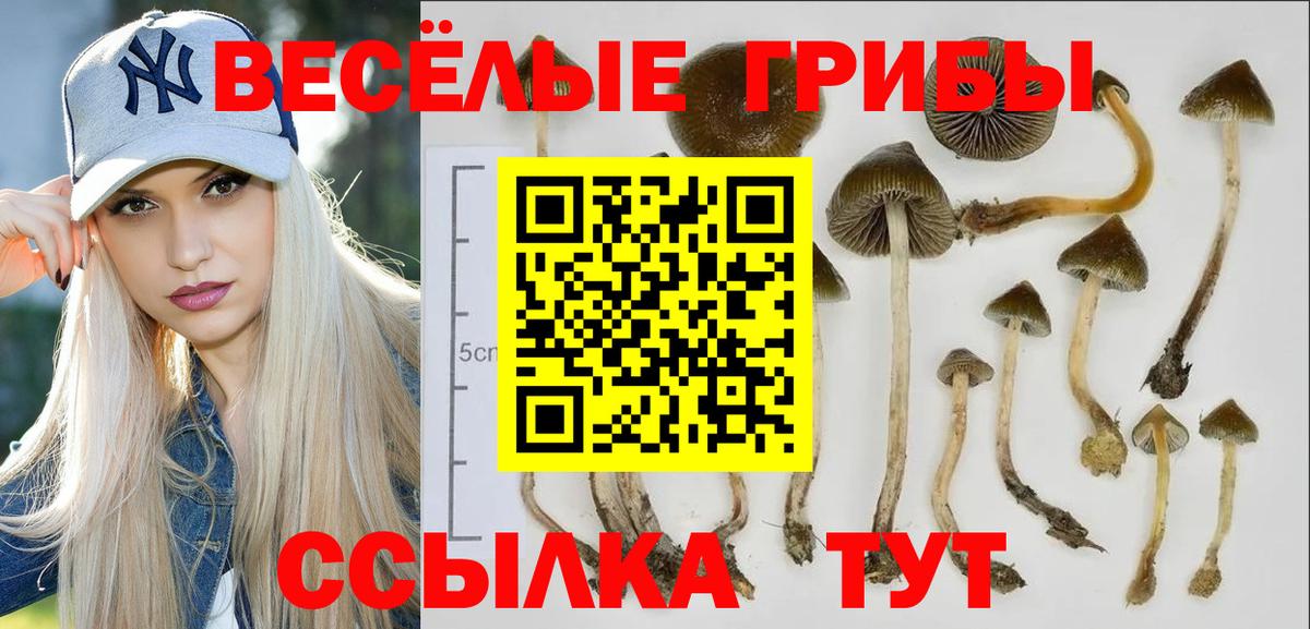 Кимовск  Вход с VPN  ТГК  Меф МЯУ МЯУ   Альфа ПВП СК кристаллы  Каннабис  ГАШ  КОКАИН  Меф 