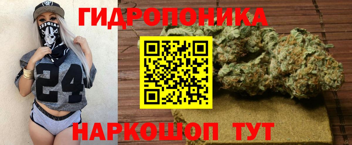 Шишки марихуана план  Конопля планчик  Кимовск  Вход с VPN 
